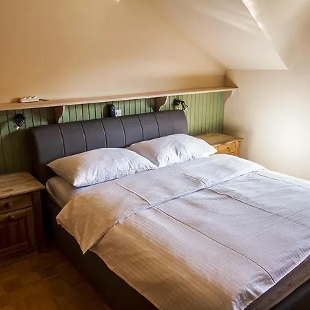 Apartament House Rudnik